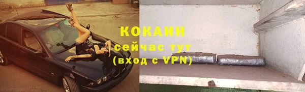 мяу мяу мука Алзамай