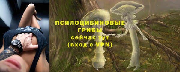 дживик Алексин